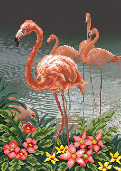 Красивые фламинго - природа, берег, птицы, цветы, фламинго - оригинал