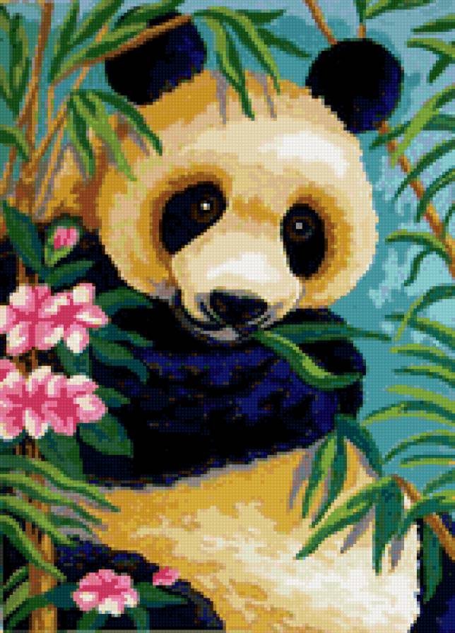 Мишка-панда - панда, мишка, животные, цветы, природа - предпросмотр