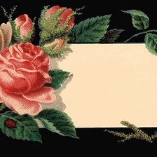 Оригинал схемы вышивки «Серия "Цветы"» (№43053)