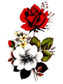 Серия "Цветы" - цветы, розы - оригинал