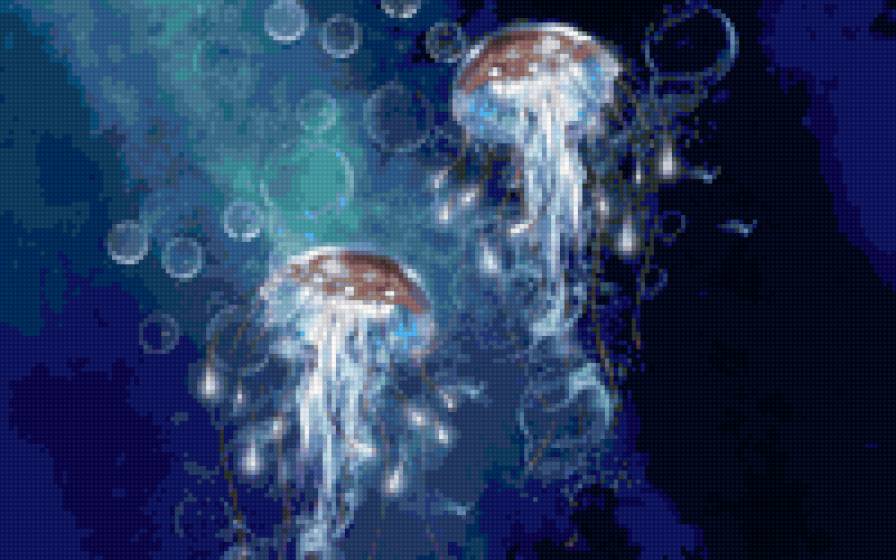 Медузы - предпросмотр