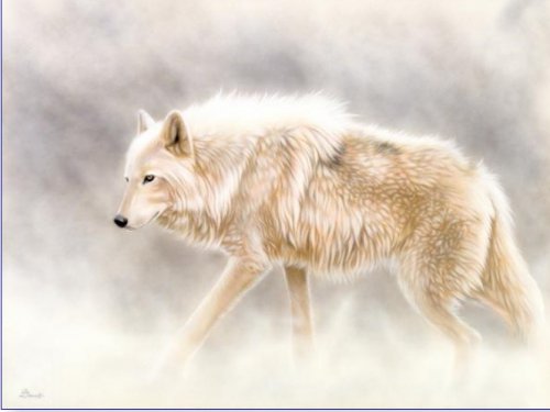 Серия "Волки" - волки, животные - оригинал