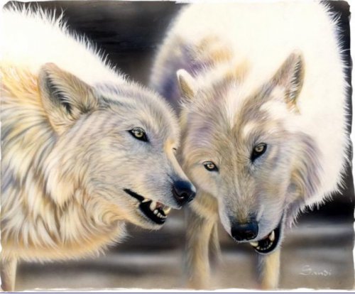 Серия "Волки" - волки, животные, пара - оригинал