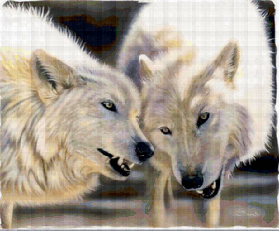 Серия "Волки" - волки, пара, животные - предпросмотр