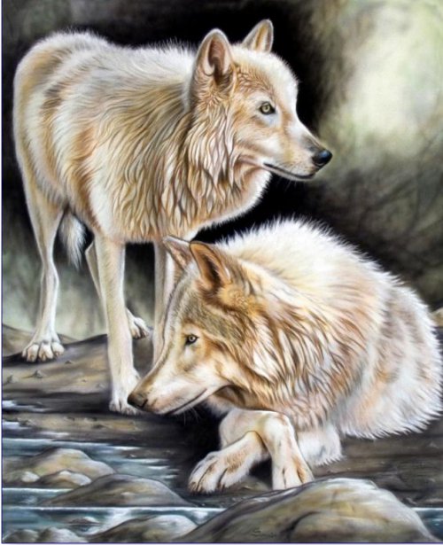 Серия "Волки" - волки, животные, пара - оригинал