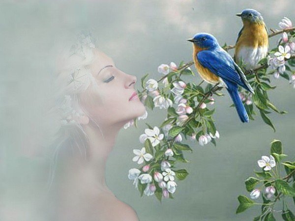 райские птицы - лицо, птицы, цветы - оригинал