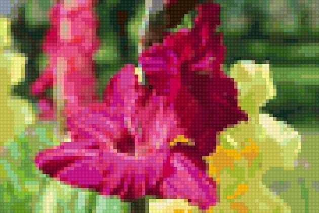 мамины цветы 3 - гладиолусы - предпросмотр