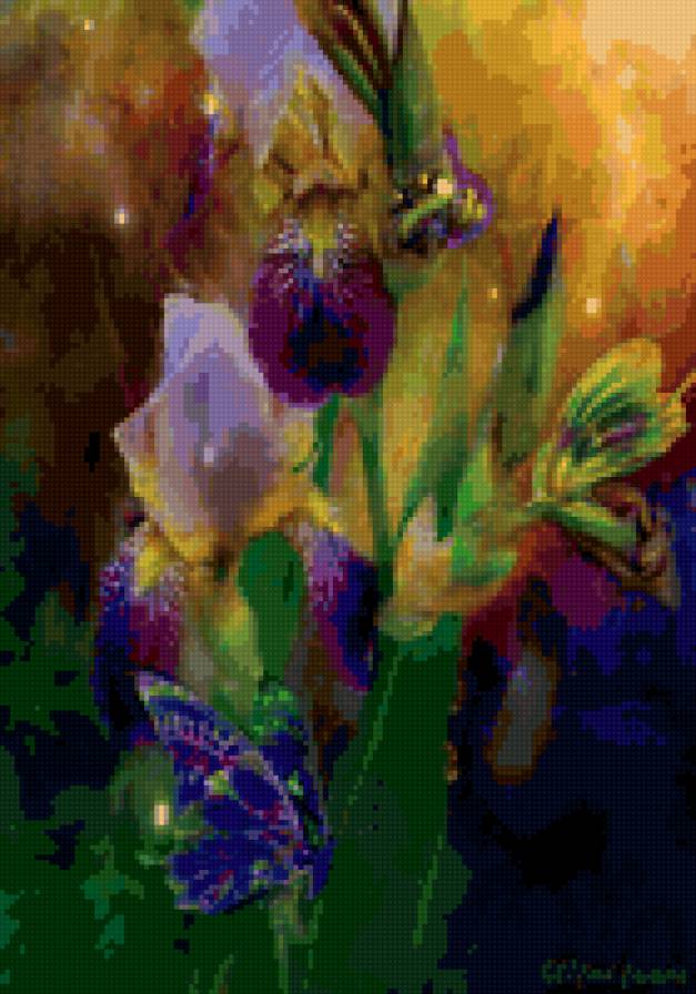 ирис - флора, ирис, цветок - предпросмотр