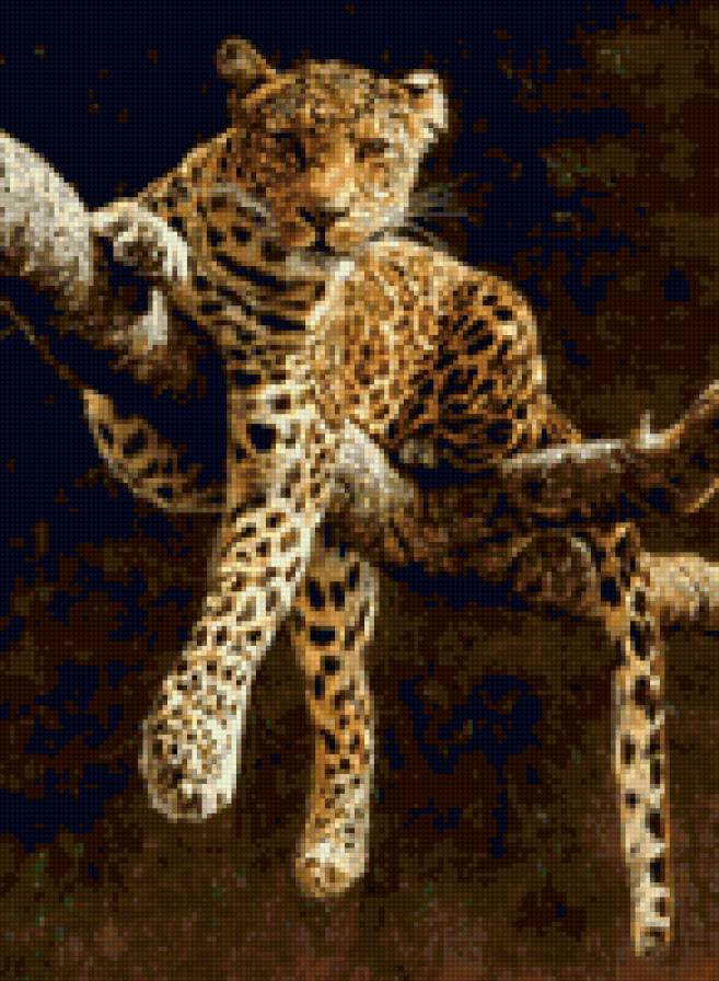 Леопард на отдыхе - животные, ветка, леопард - предпросмотр