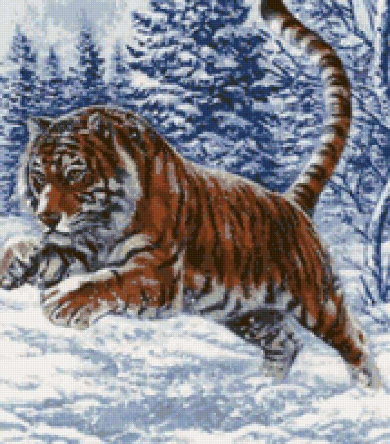 Тигр - пейзаж, тигр, зима, лес, природа, снег - предпросмотр