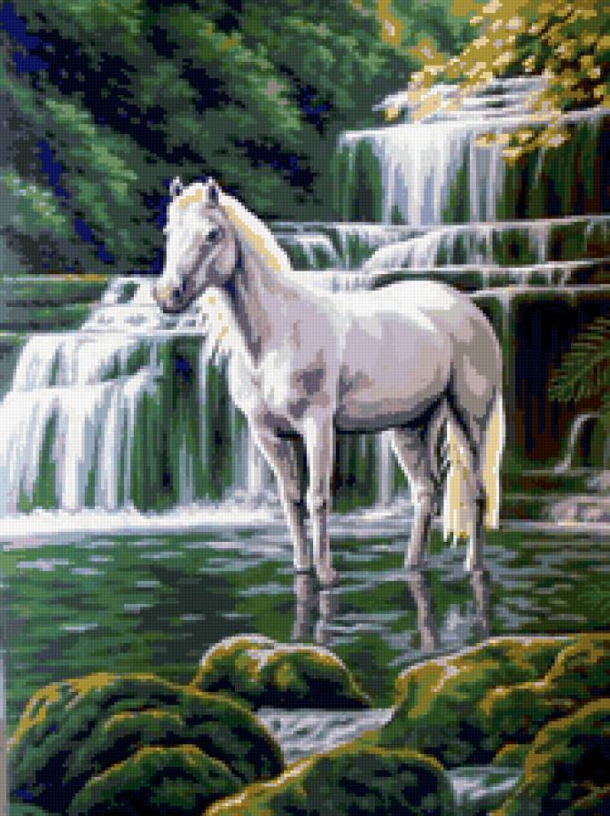 Лошадь у водопада - природа, животное, лошадь, пейзаж, водопад - предпросмотр