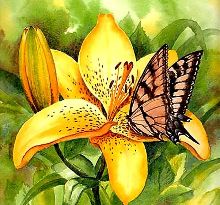 лилия - бабочка, подушка, цветок - оригинал