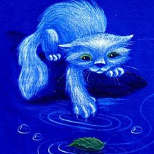 голубой кот