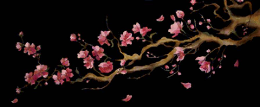 Ветка сакуры - дерево, цветы - предпросмотр