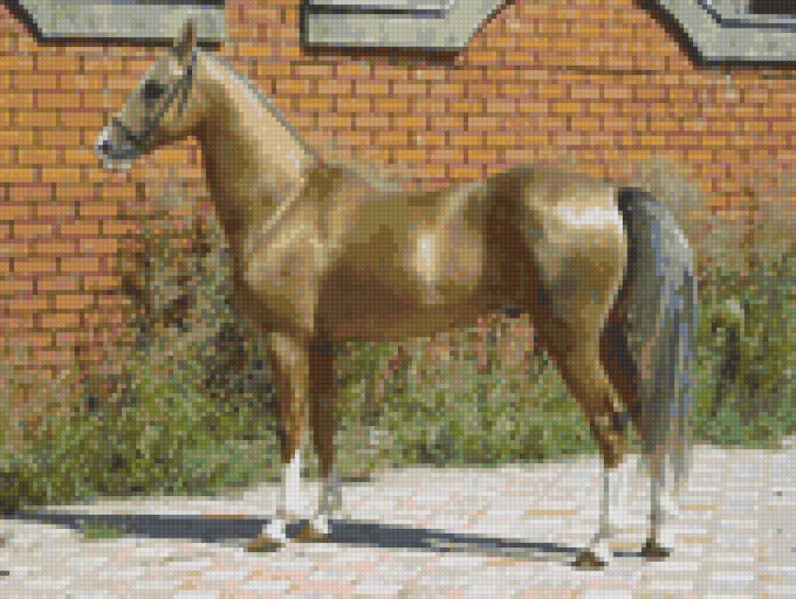 Золотая лошадь - лошади - предпросмотр
