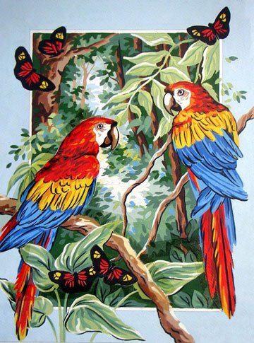 Красивые попугаи - природа, попугаи, птицы - оригинал