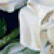 Предпросмотр схемы вышивки «белые розы» (№46635)