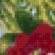 Предпросмотр схемы вышивки «Павлины в цветах» (№46638)