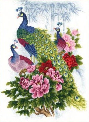 Павлины в цветах - цветы, павлины, птицы - оригинал