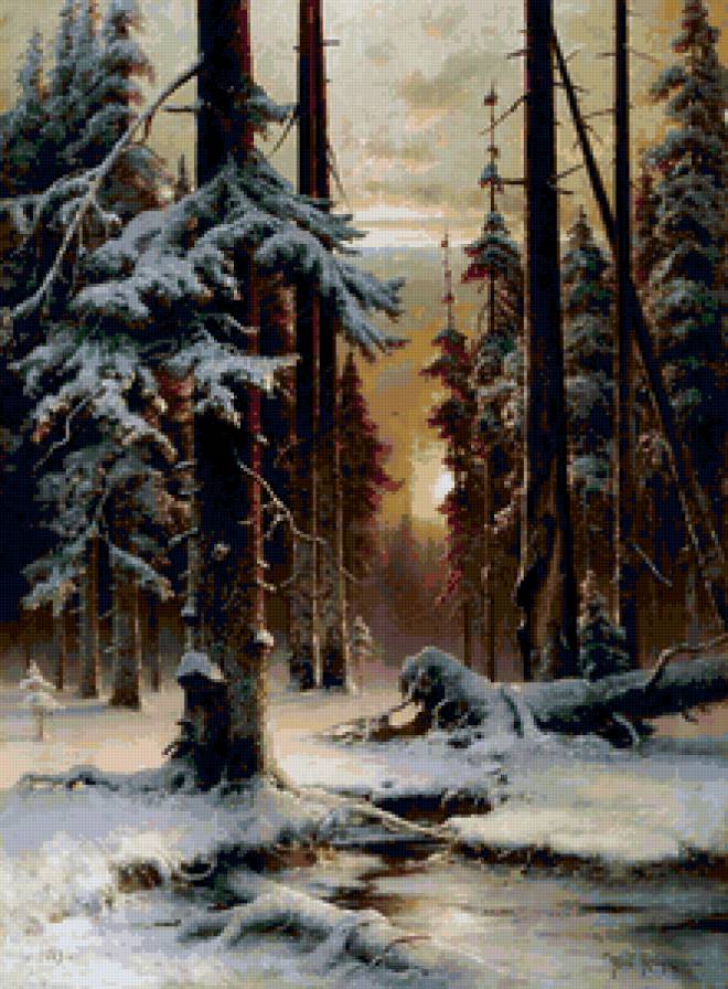 Зима в сосновом бору - закат, пейзаж, снег, зима, деревья - предпросмотр