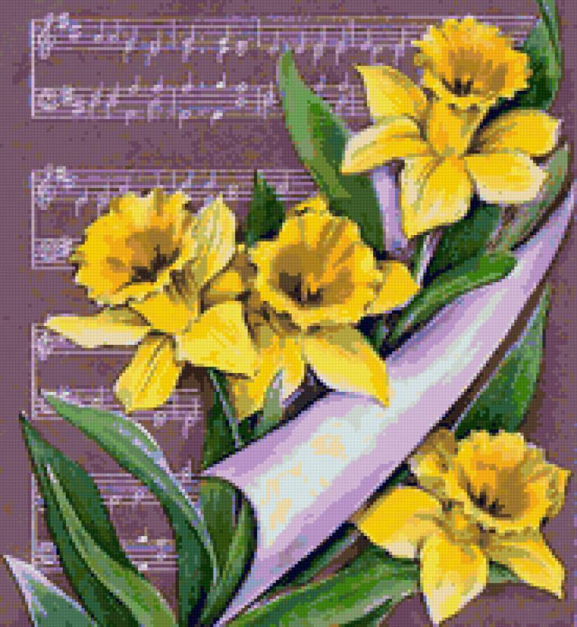 Цветы и музыка - ноты, цветы и музыка, нарцисс, нарциссы, цветы, музыка - предпросмотр