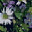 Предпросмотр схемы вышивки «полевые цветы» (№48291)