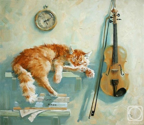 Музыкальные сны - кот, музыка, скрипка - оригинал