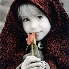 девочка в красном платке и роза