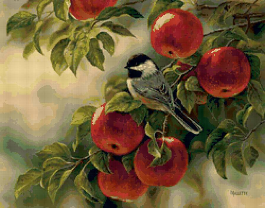 ветка - птица, ветка, яблоки - предпросмотр
