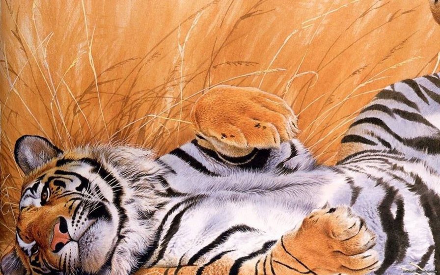 Тигр на отдыхе - оригинал