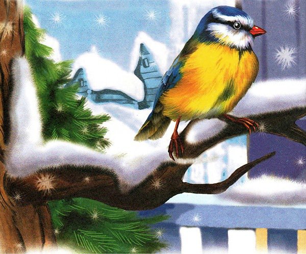 Синичка - природа, синичка, зима, птичка, синички, пушистые птички - оригинал
