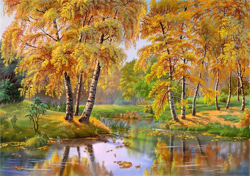 Осень - осень, березы, лес, пейзаж - оригинал