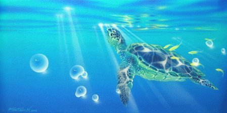 Маленькая черепаха - море, черепахи, животные - оригинал