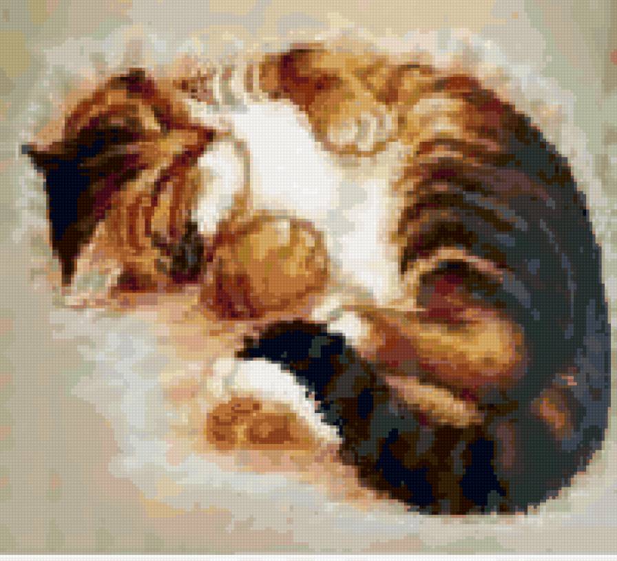 Кот для подушки - кот, подушка - предпросмотр
