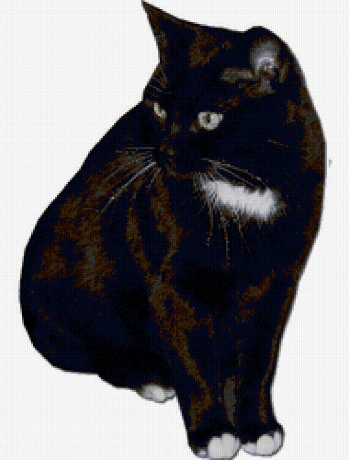 Черный кот - живопись, коты, животные - предпросмотр
