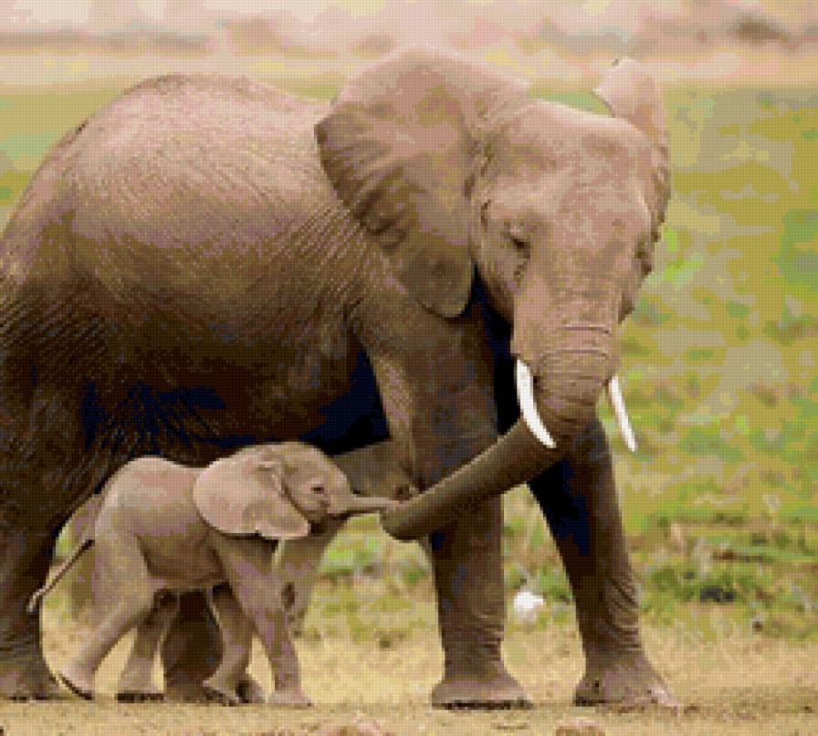 рядом с мамой - слоны, животные - предпросмотр