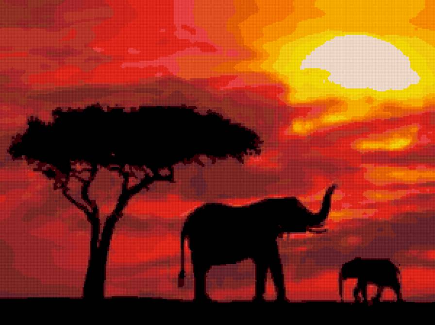 Африка - закат, слон, африка - предпросмотр