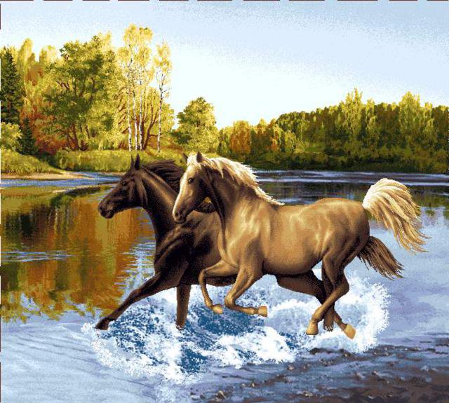 кони - лошади - оригинал