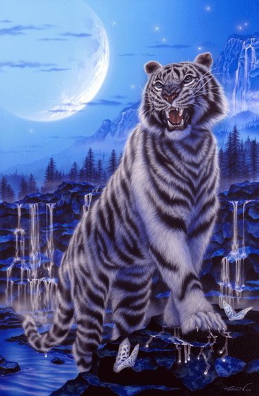 тигруля - хищник, луна, природа, кошки - оригинал