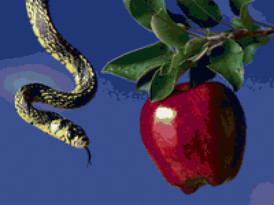 змея и яблоко - предпросмотр