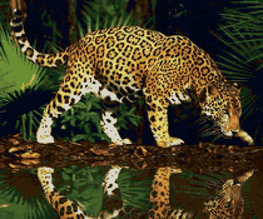 Леопард - большие кошки, животные - предпросмотр