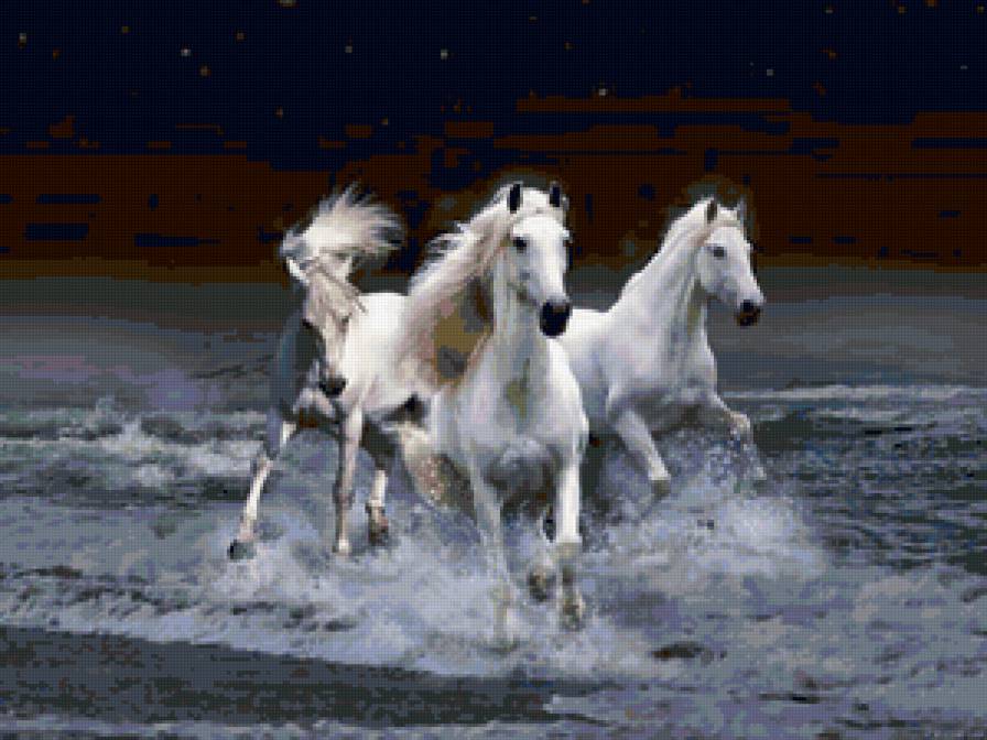кони моря - лошади - предпросмотр