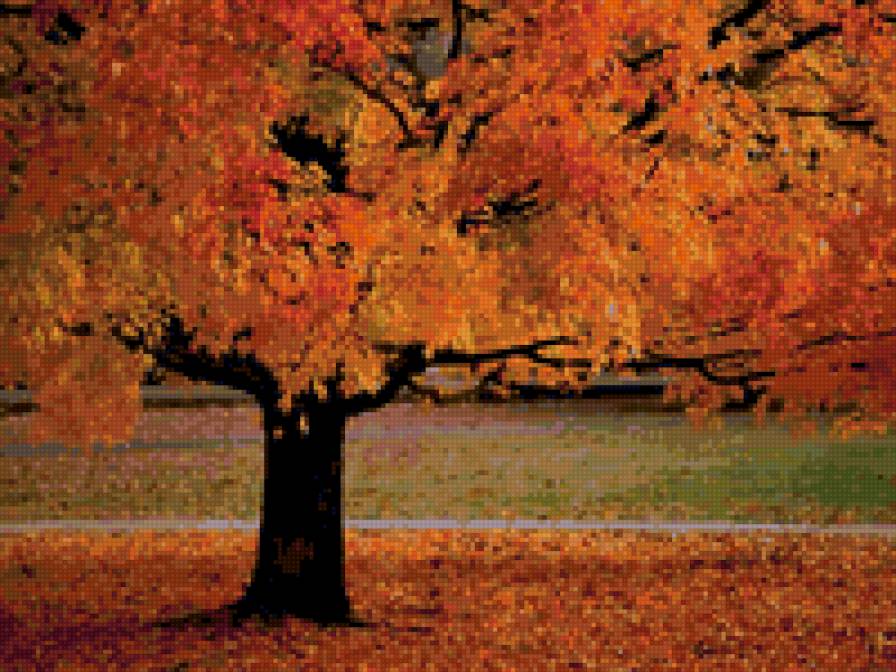 золотая осень - дерево, осень, листопад - предпросмотр