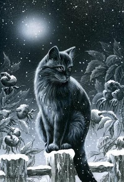кошка - кошки, черно-белое, ночь, животные, картина, кошечки, снег, зима - оригинал