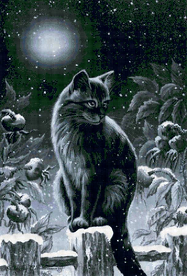 кошка - кошки, снег, кошечки, ночь, зима, картина, черно-белое, животные - предпросмотр