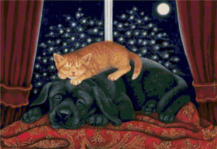 рыжий котенок и щенок - кот, щенок, животные - предпросмотр