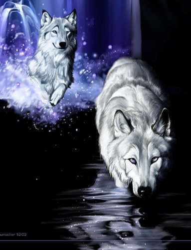 Серия "Волки" - животные, волки - оригинал