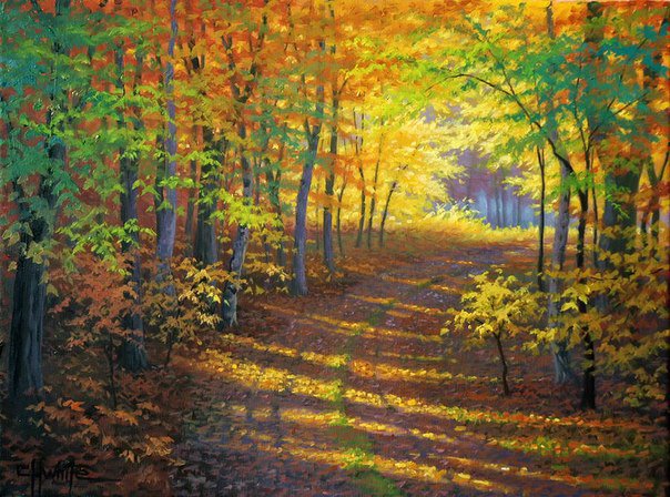 Осенний солнечный лес) - осенняя картина, лес, осень - оригинал