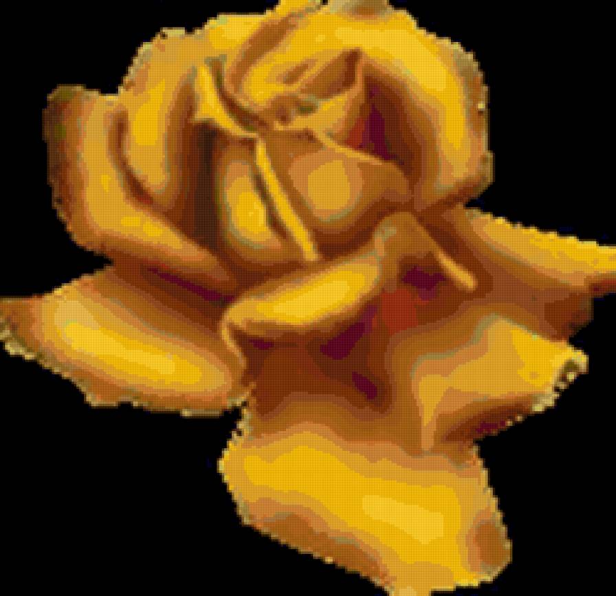 золотая роза - цветок, цветы, розы, роза - предпросмотр