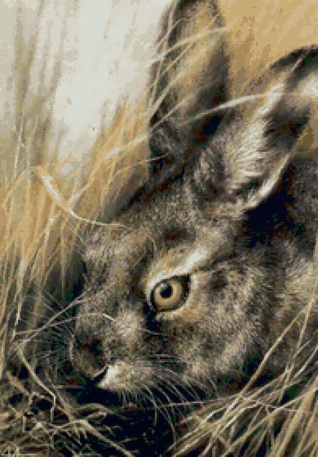 №55044 - природа, живопись, животные, заяц, кролик - предпросмотр